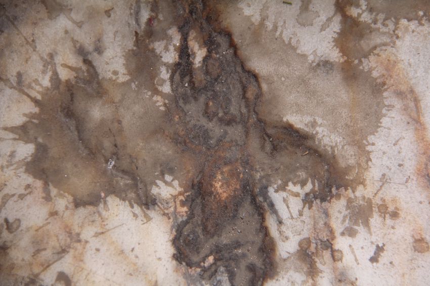 Superficies adicionales, por Wilfredo Carrizales