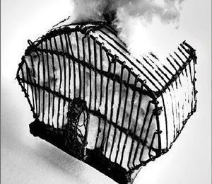 XV Premio Internacional de Poesía Experimental Diputación de Badajoz 2016