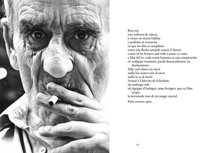 “El ciervo aplaudido”, de Leopoldo María Panero