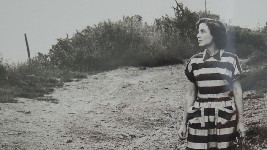 Elizabeth Schön