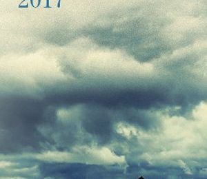 Premio Nadal de Novela 2017