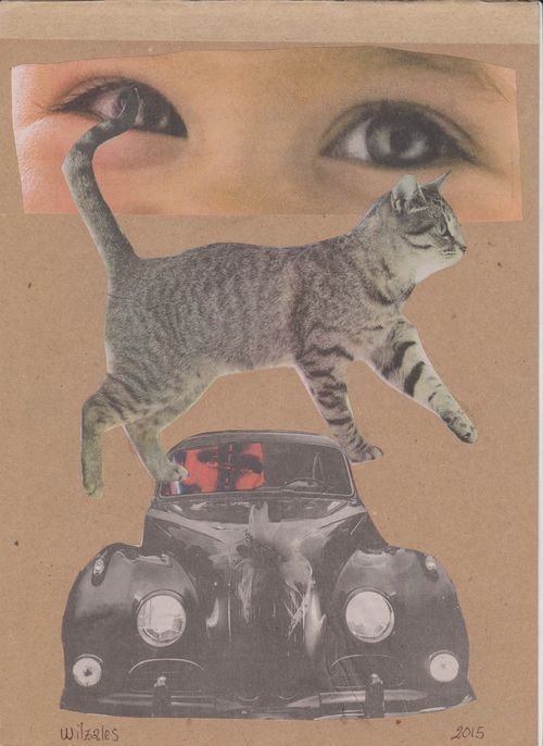 Tiempos extravagantes, por Wilfredo Carrizales