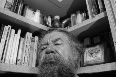 Ensoñaciones con sustento, por Wilfredo Carrizales