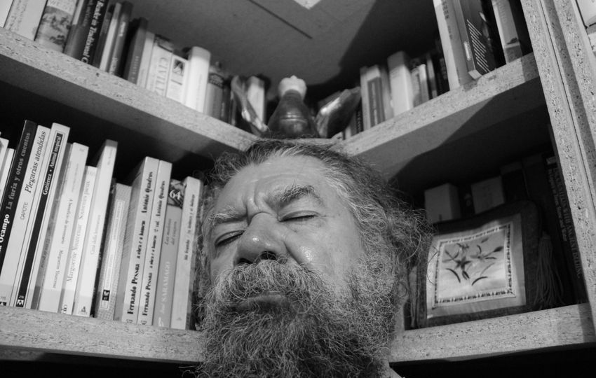 Ensoñaciones con sustento, por Wilfredo Carrizales