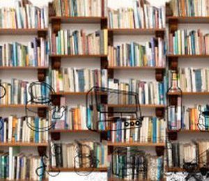 7º Premio “Biblioteca Fimba”