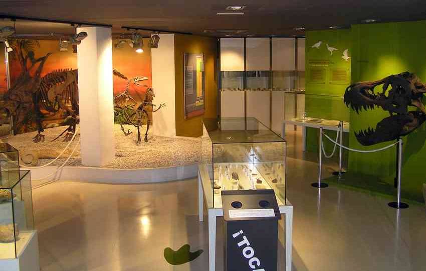Museo Paleontológico de Elche (Mupe)