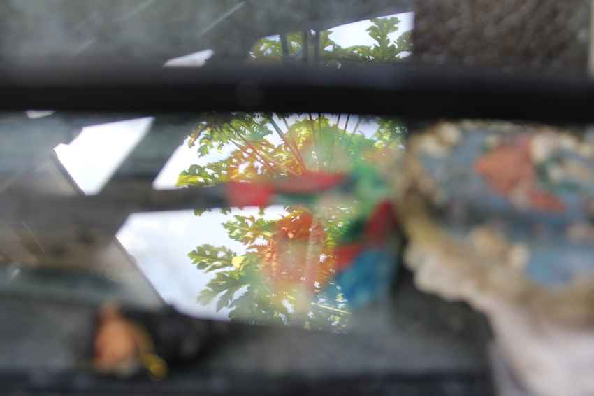 Cercano a las evanescencias, por Wilfredo Carrizales