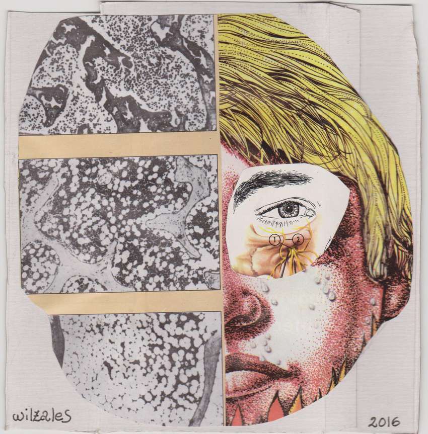 Un mirar allende la premonición, por Wilfredo Carrizales