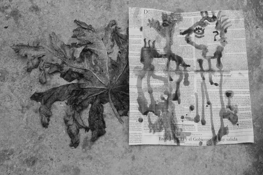 En unos verbos, por Wilfredo Carrizales