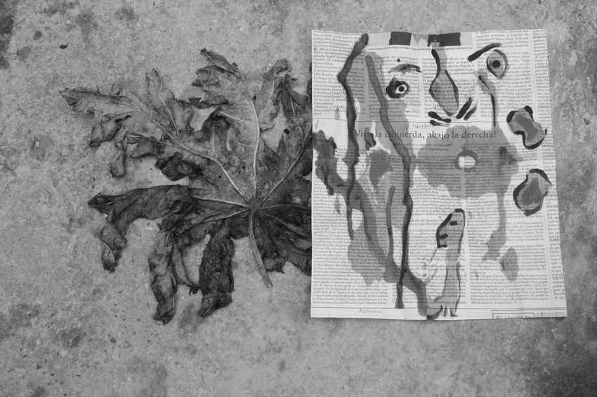 En unos verbos, por Wilfredo Carrizales