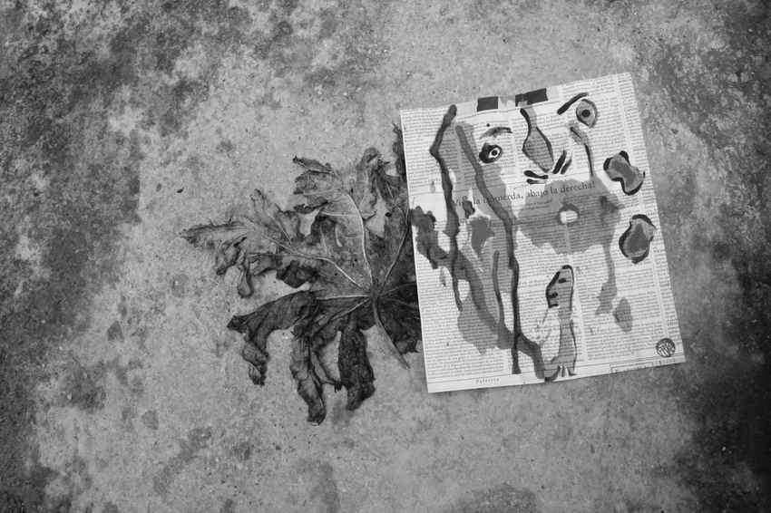 En unos verbos, por Wilfredo Carrizales