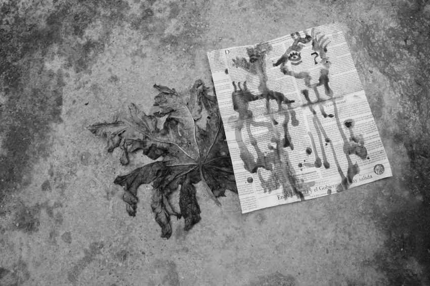 En unos verbos, por Wilfredo Carrizales