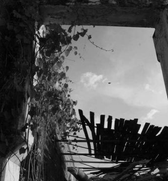 Por la casa, las ausencias, por Wilfredo Carrizales
