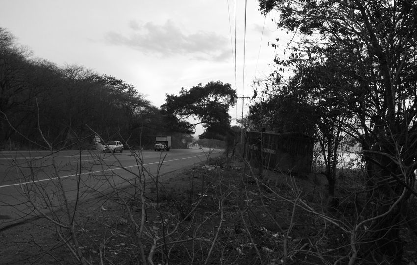 Como quien escruta carreteras, por Wilfredo Carrizales