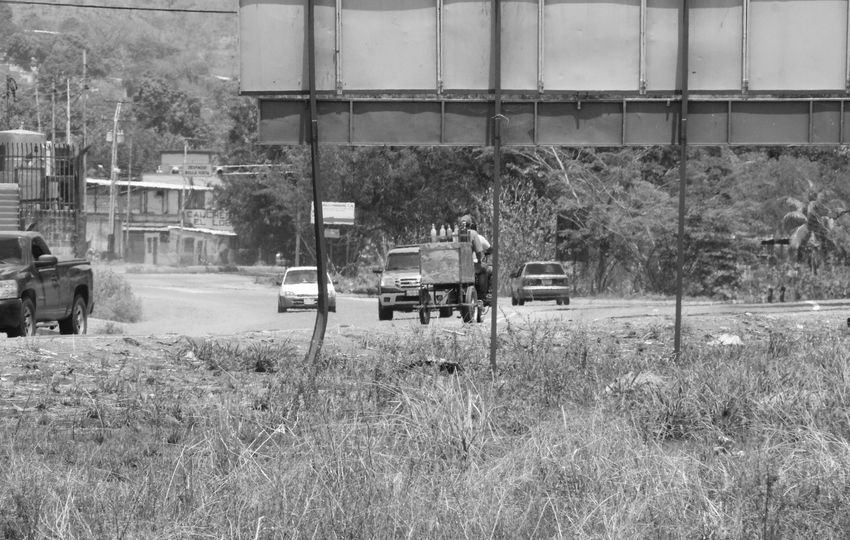 Como quien escruta carreteras, por Wilfredo Carrizales