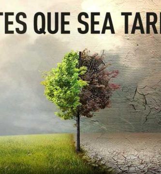 “Antes que sea tarde”, de Fisher Stevens