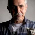 Luis Cortés Bargalló