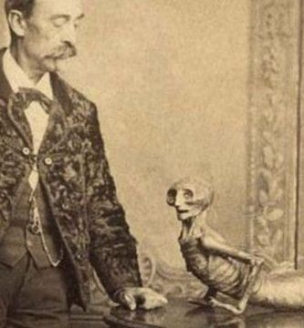 “Calabacines en el ático: Freak Show”, antología de microrrelatos de terror de la Editorial Saco de Huesos