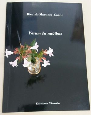 “Verum In Nubibus”, de Ricardo Martínez-Conde