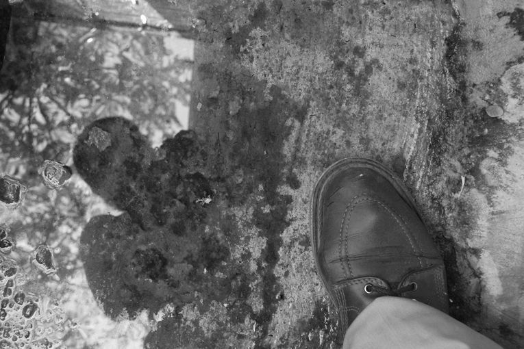 Yo me sé el lugar, por Wilfredo Carrizales