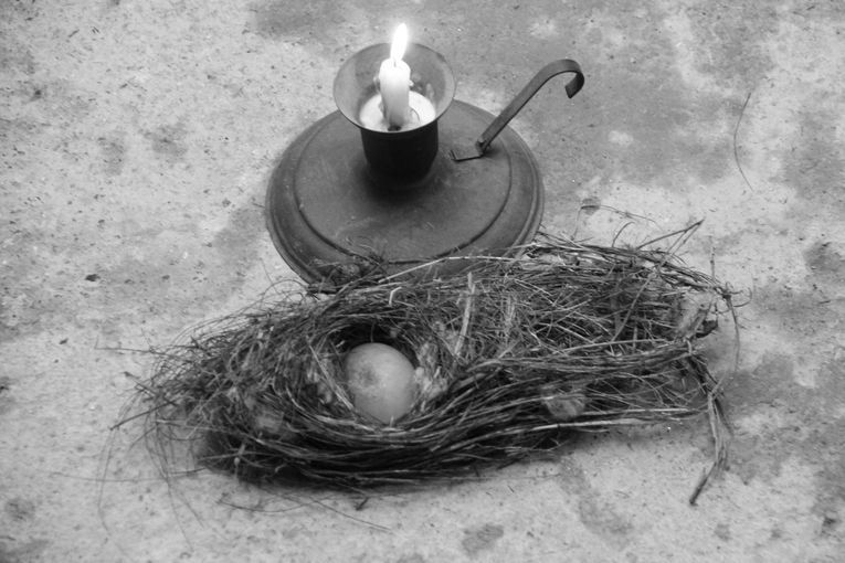 Plegarias para un huevo de piedra, por Wilfredo Carrizales