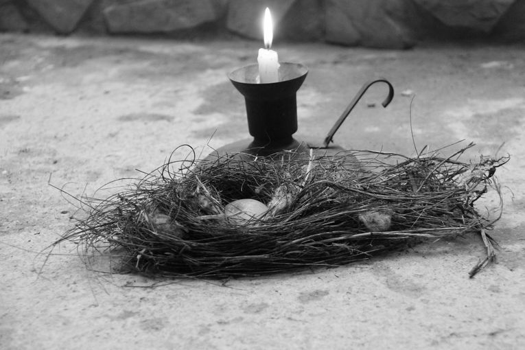 Plegarias para un huevo de piedra, por Wilfredo Carrizales