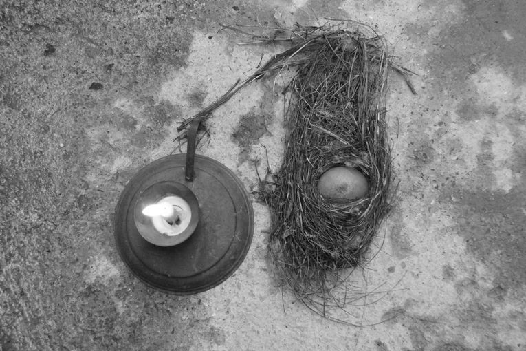 Plegarias para un huevo de piedra, por Wilfredo Carrizales