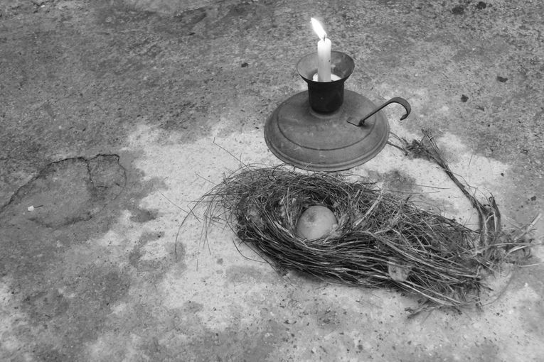 Plegarias para un huevo de piedra, por Wilfredo Carrizales