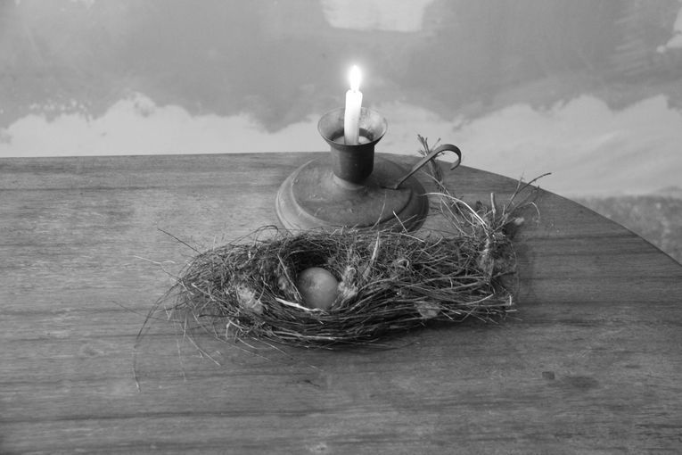 Plegarias para un huevo de piedra, por Wilfredo Carrizales