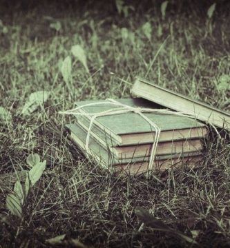 Libros en custodia, por Luis Guillermo Franquiz