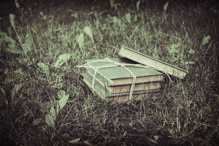 Libros en custodia, por Luis Guillermo Franquiz