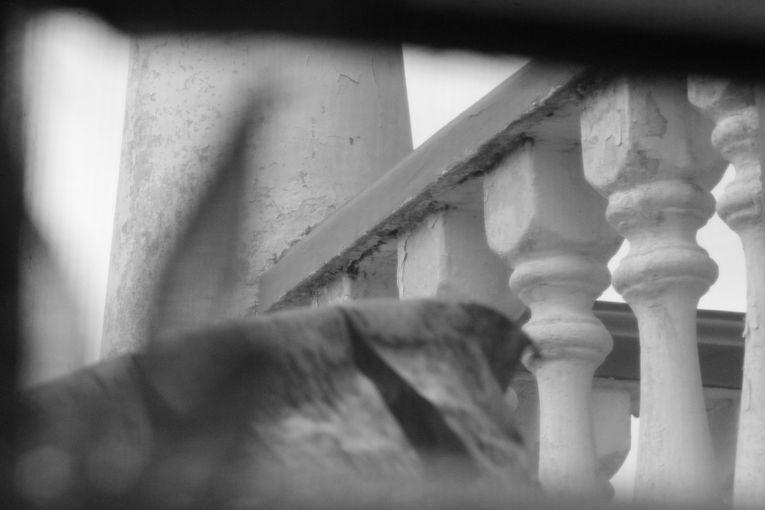 No siempre, sino contadas veces, por Wilfredo Carrizales