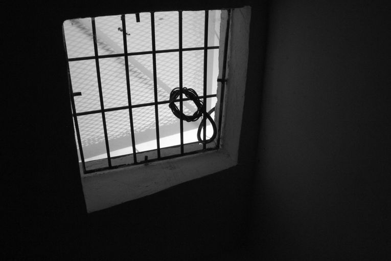 No siempre, sino contadas veces, por Wilfredo Carrizales