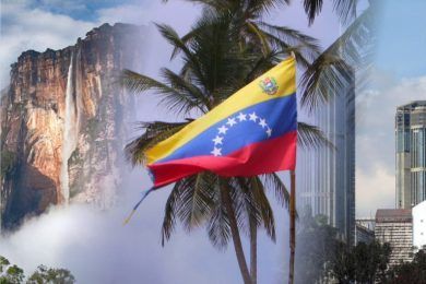#24VocesVenezolanas