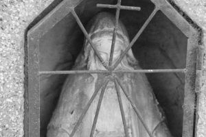 Naturaleza póstuma, por Wilfredo Carrizales