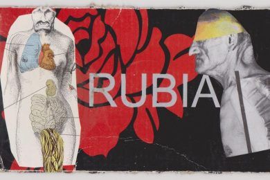 Rubia, por Wilfredo Carrizales
