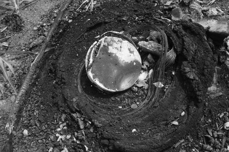 Tras el fuego, la quietud tonal, por Wilfredo Carrizales