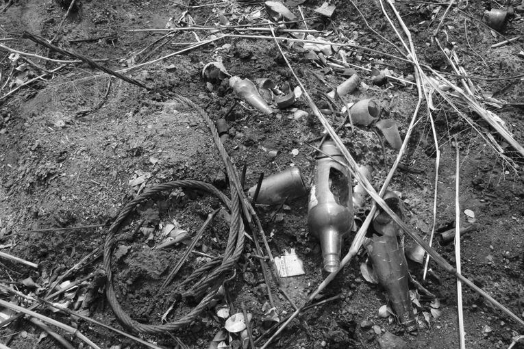 Tras el fuego, la quietud tonal, por Wilfredo Carrizales