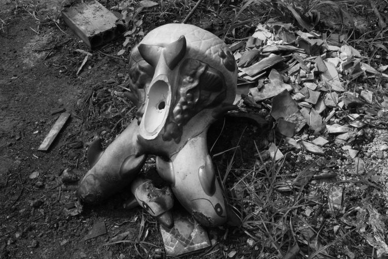 Tras el fuego, la quietud tonal, por Wilfredo Carrizales