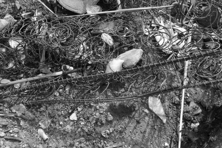 Tras el fuego, la quietud tonal, por Wilfredo Carrizales