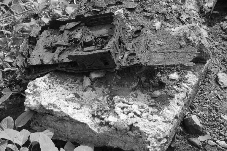 Tras el fuego, la quietud tonal, por Wilfredo Carrizales