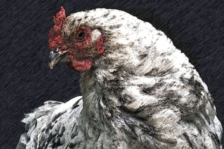 Sobre el verbo poner, por Sol Linares