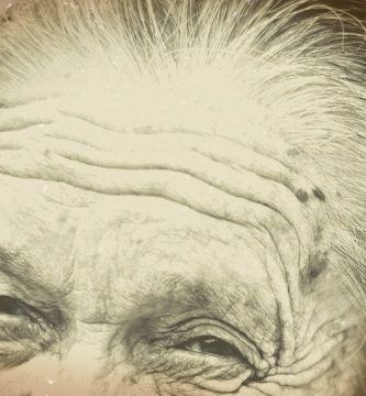 Diálogos con Julia, por Vicente Adelantado Soriano