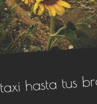 “Un taxi hasta tus brazos”, de Arnoldo Rosas