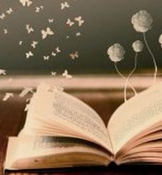 Concurso Literario de Cuentos Cortos Apaib 2019