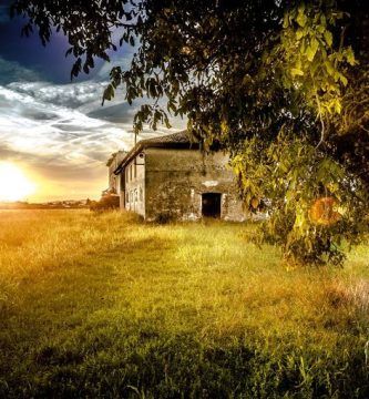 Voces, voces (3): En la voz necesaria del amor reconozco..., por Rafael Fauquié