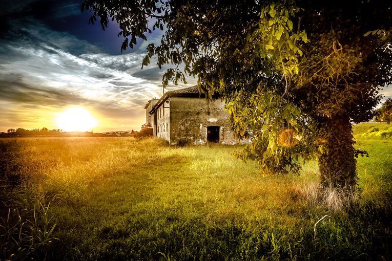 Voces, voces (3): En la voz necesaria del amor reconozco..., por Rafael Fauquié