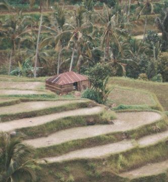 Voces, voces (y 4): En la voz de los días he reconocido..., por Rafael Fauquié