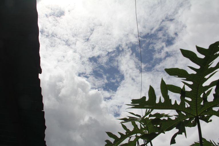 Elementos, por Wilfredo Carrizales