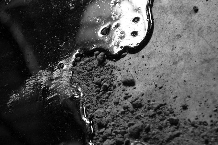 Tránseat, por Wilfredo Carrizales